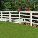AgTec 4-Rail White PVC Horse and Ranch Fence Kit - 60in Tall (Custom Build) - Vinyl, No-Rot, No-Paint, Stronger Than Wood, Maintenance Free