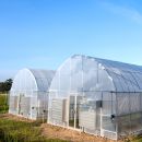 Greenhouse 12mil AC Reinforced